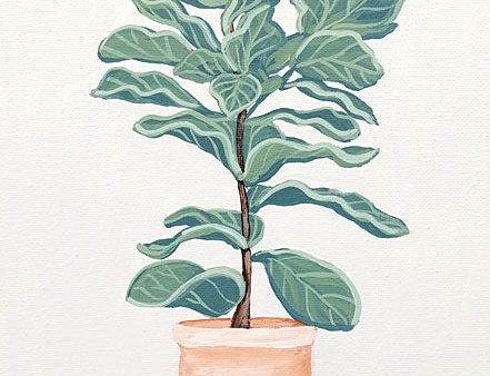 BAKE190 - Fiddle Leaf Fig - 12x16 Hot on Sale